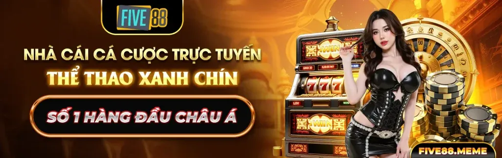 Hoàn trả hàng ngày cho Live Casino